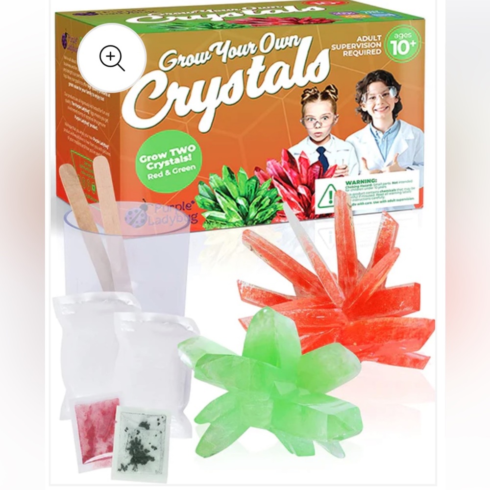 Purple Ladybug Grow Your Own Crystals Red and Green Stem